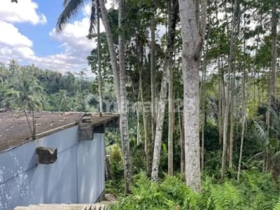 Jual Tanah Bonus 6 Villa Siap Huni Gianyar Ubud - Thumbnail 3