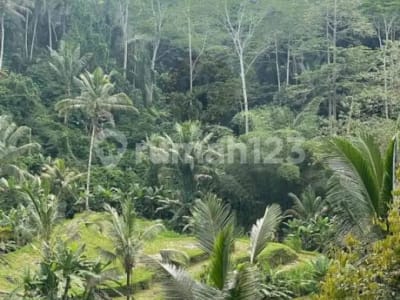Jual Tanah Bonus 6 Villa Siap Huni Gianyar Ubud - Thumbnail 6