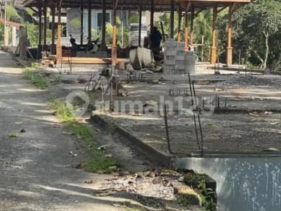 Jual Tanah Bonus 6 Villa Siap Huni Gianyar Ubud - Thumbnail 4
