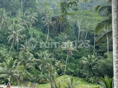 Jual Tanah Bonus 6 Villa Siap Huni Gianyar Ubud - Thumbnail 2