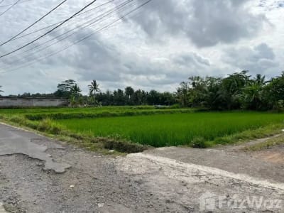 Land for sale in Pejeng, Bali - Thumbnail 3