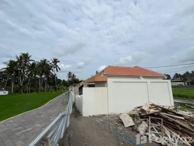 Land for sale in Pejeng, Bali - Thumbnail 5
