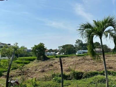 Tanah Full View Sawah Dekat Pantai Berawa Canggu Bali - Thumbnail 2