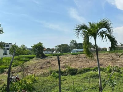Tanah Full View Sawah Dekat Pantai Berawa Canggu Bali - Thumbnail 3