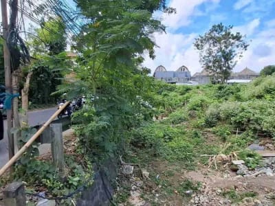 Tanah premium jln raya karang mas jimbaran 900m2 idr 8,5jt/m2 - Thumbnail 4