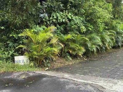 Tanah murah 600 m2 labuan sait Pecatu idr 8 jt/m2 - Thumbnail 7