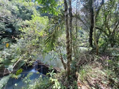 Dijual tanah kebun murah dengan sungau bebatuan murah di tabanan bali - Thumbnail 7