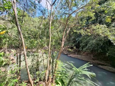 Dijual tanah kebun murah dengan sungau bebatuan murah di tabanan bali - Thumbnail 8