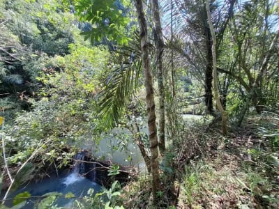 Dijual tanah kebun murah dengan sungau bebatuan murah di tabanan bali - Thumbnail 2