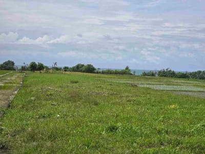 dijual tanah kecil view laut sawah di pantai pasut tabanan bali - Thumbnail 1