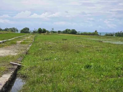 dijual tanah kecil view laut sawah di pantai pasut tabanan bali - Thumbnail 9