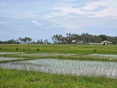dijual tanah kecil view laut sawah di pantai pasut tabanan bali - Thumbnail 3