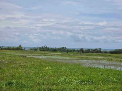 dijual tanah kecil view laut sawah di pantai pasut tabanan bali - Thumbnail 4