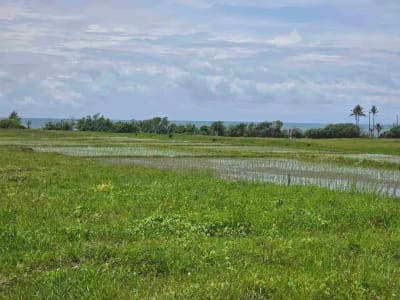 dijual tanah kecil view laut sawah di pantai pasut tabanan bali - Thumbnail 2