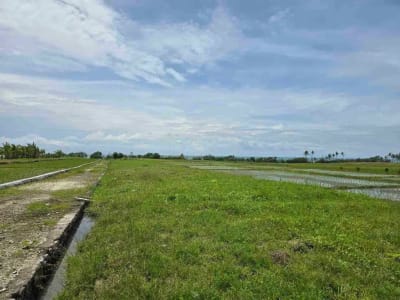 dijual tanah kecil view laut sawah di pantai pasut tabanan bali - Thumbnail 5
