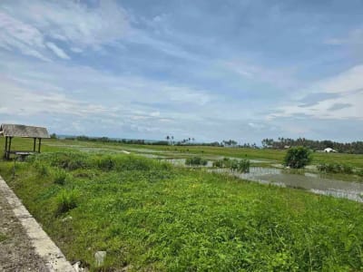 dijual tanah kecil view laut sawah di pantai pasut tabanan bali - Thumbnail 8