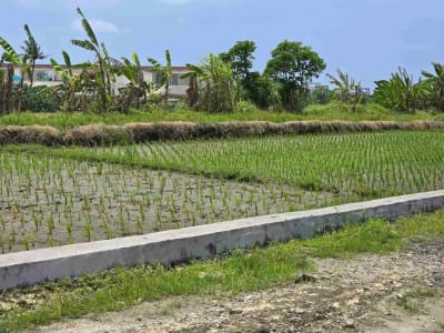dijual tanah kecil view laut sawah di pantai pasut tabanan bali - Thumbnail 10