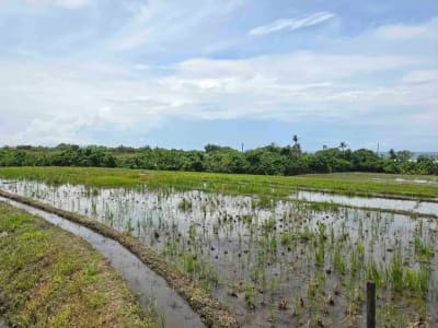 Dijual tanah los pantai di lingkungan villa pantai pasut tabanan bali - Thumbnail 7