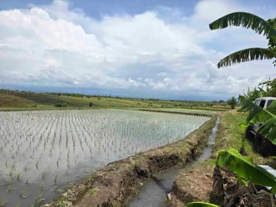 Dijual tanah los pantai di lingkungan villa pantai pasut tabanan bali - Thumbnail 4