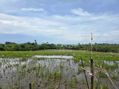 Dijual tanah los pantai di lingkungan villa pantai pasut tabanan bali - Thumbnail 5