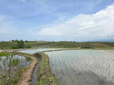Dijual tanah los pantai di lingkungan villa pantai pasut tabanan bali - Thumbnail 8