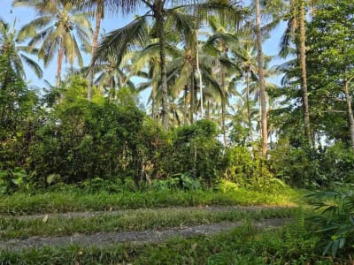 tanah kebun sangat subur dan strategis cocok untuk villa dengan view sawah terasering di area wisata selemadeg - Thumbnail 7