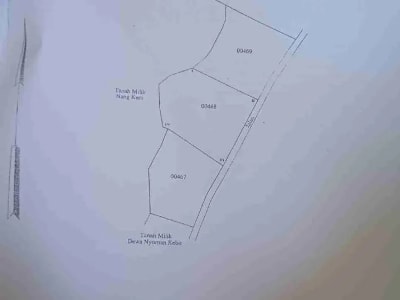 Dijual Tanah Kebun - Thumbnail 8