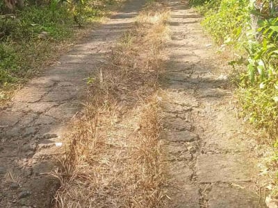 Dijual Tanah Kebun - Thumbnail 1
