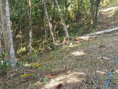 Dijual Tanah Kebun - Thumbnail 3