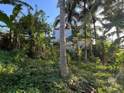jual tanah pinggir jalan utama view sawah dekat kota tabanan bali - Thumbnail 6