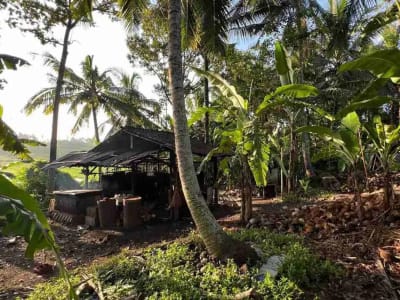 jual tanah pinggir jalan utama view sawah dekat kota tabanan bali - Thumbnail 5