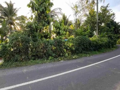 jual tanah pinggir jalan utama view sawah dekat kota tabanan bali - Thumbnail 3