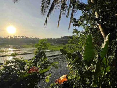 jual tanah pinggir jalan utama view sawah dekat kota tabanan bali - Thumbnail 10