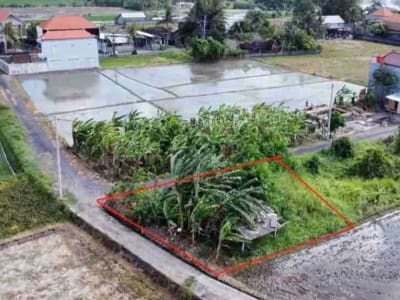 Tanah 215M2 View Sawah Sdh Pondasi Keliling Kedungu Tabanan Itr Kuning - Thumbnail 2