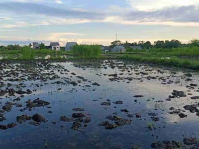 SALE!! TANAH SIAP BANGUN 6,76 HA KETEWEL IDA BAGUS MANTRA - Thumbnail 6