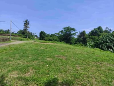 SALE!! TANAH SIAP BANGUN 6,76 HA KETEWEL IDA BAGUS MANTRA - Thumbnail 2