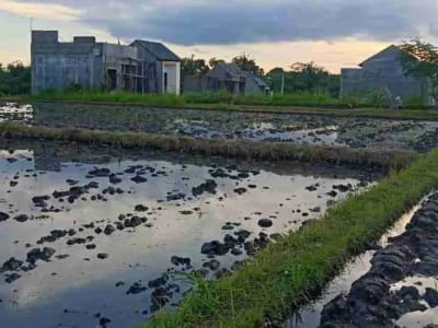 SALE!! TANAH SIAP BANGUN 6,76 HA KETEWEL IDA BAGUS MANTRA - Thumbnail 7