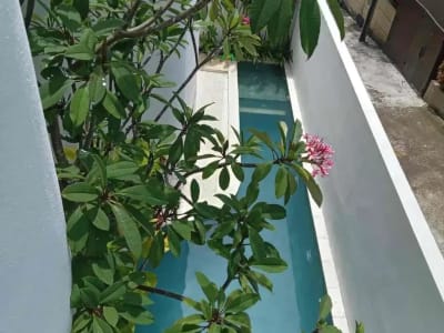 villa baru di batu mejan  canggu sangat strategis - Thumbnail 4