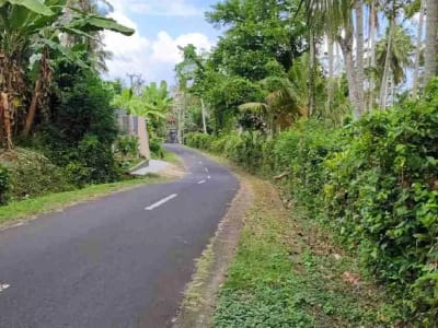 jual tanah murah ,di tabanan.pinggir jln aspal .luas 8500m2 (85 are). harga 50 jt/ are/100m2 - Thumbnail 1