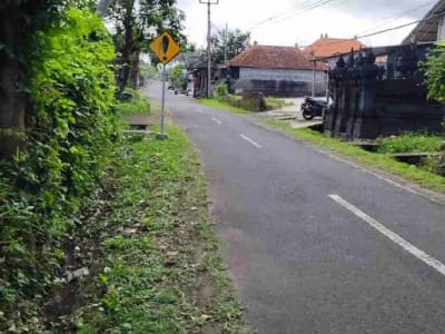 jual tanah murah ,di tabanan.pinggir jln aspal .luas 8500m2 (85 are). harga 50 jt/ are/100m2 - Thumbnail 7