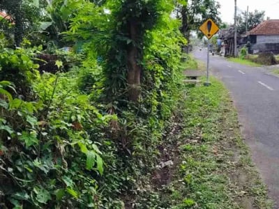 jual tanah murah ,di tabanan.pinggir jln aspal .luas 8500m2 (85 are). harga 50 jt/ are/100m2 - Thumbnail 2