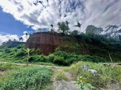 Dijual Rumah Baru di Perbukitan Tabanan Bali – Vismaya Residence | Free Tiket Survey &amp; UTJ Rp5 Juta All In - Thumbnail 1