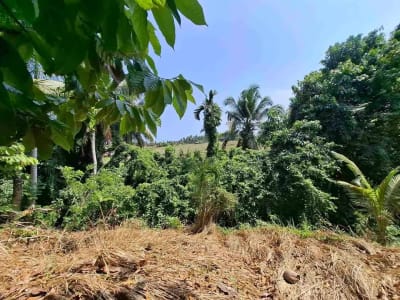 dijual tanah strategis dekat pantai wisata di tabanan dengan view sawah dab los sungai kecil berbatu - Thumbnail 2