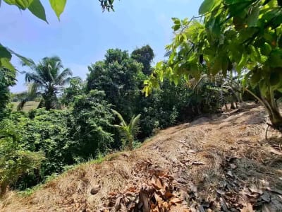 dijual tanah strategis dekat pantai wisata di tabanan dengan view sawah dab los sungai kecil berbatu - Thumbnail 8