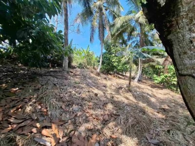 dijual tanah strategis dekat pantai wisata di tabanan dengan view sawah dab los sungai kecil berbatu - Thumbnail 6