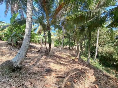 dijual tanah strategis dekat pantai wisata di tabanan dengan view sawah dab los sungai kecil berbatu - Thumbnail 5