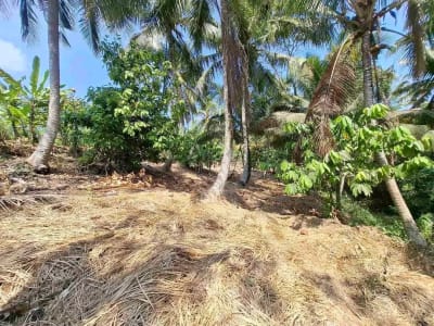 dijual tanah strategis dekat pantai wisata di tabanan dengan view sawah dab los sungai kecil berbatu - Thumbnail 7