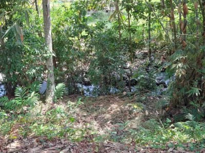 dijual tanah strategis dekat pantai wisata di tabanan dengan view sawah dab los sungai kecil berbatu - Thumbnail 9