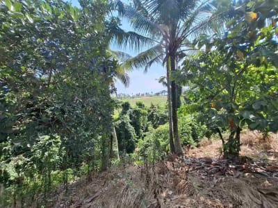 dijual tanah strategis dekat pantai wisata di tabanan dengan view sawah dab los sungai kecil berbatu - Thumbnail 3