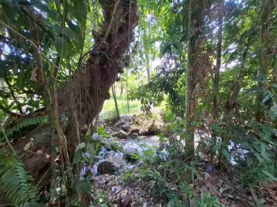 dijual tanah strategis dekat pantai wisata di tabanan dengan view sawah dab los sungai kecil berbatu - Thumbnail 10